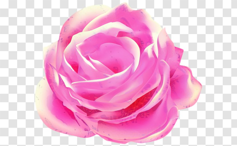 Pink Flower Cartoon - Rose Family - Theaceae Artificial Transparent PNG