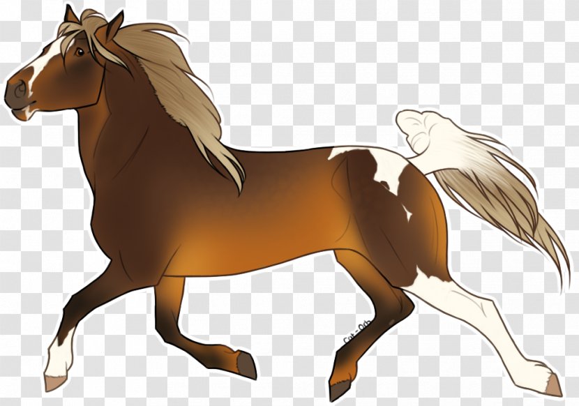 Mustang Foal Stallion Mare Pony - Cat Shop Transparent PNG