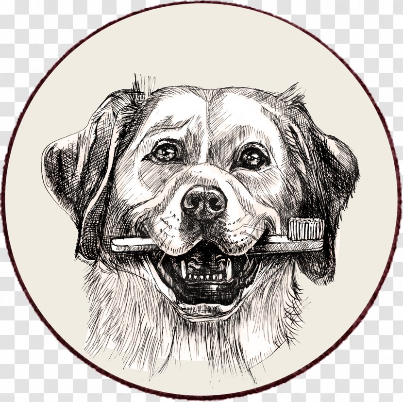 Dog Breed Puppy Essential Dental Delights 12STK Grain-Free - Mammal Transparent PNG