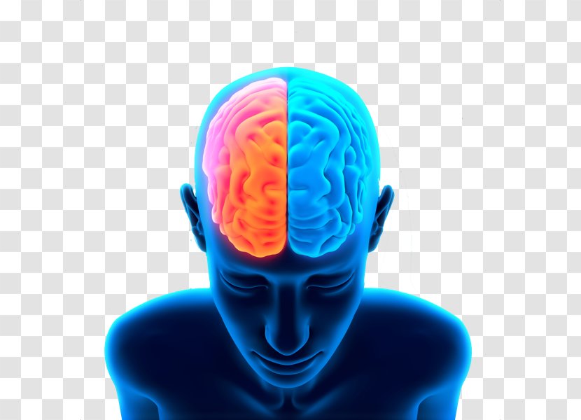 Brain Clip Art - Frame - Free Image Transparent PNG