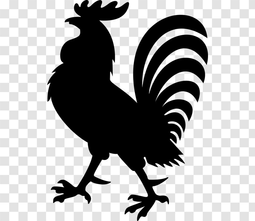 Rooster Coat Of Arms Crest Chicken Transparent PNG