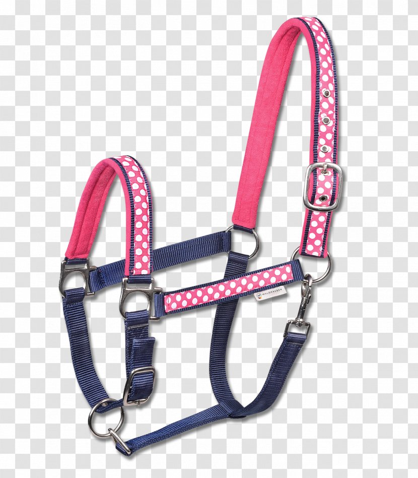 Horse Halter Panic Snap Equestrian Pony - Rock Climbing Equipment Transparent PNG