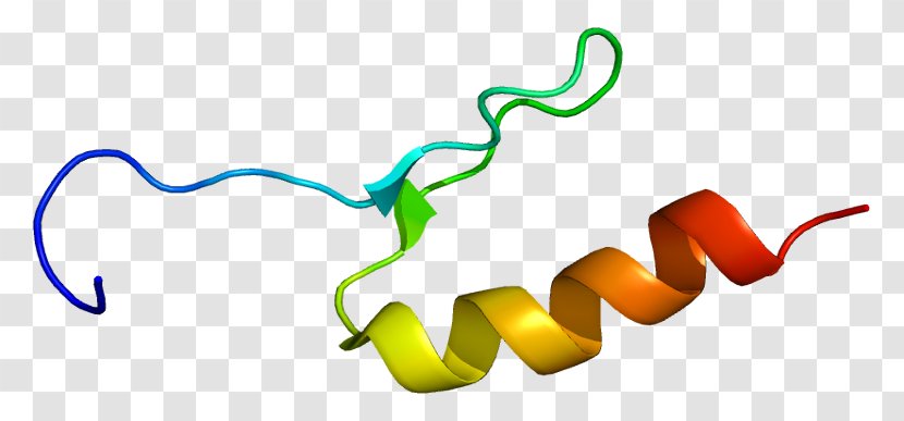 Sp3 Transcription Factor Protein Sp1 - Silhouette - Cartoon Transparent PNG