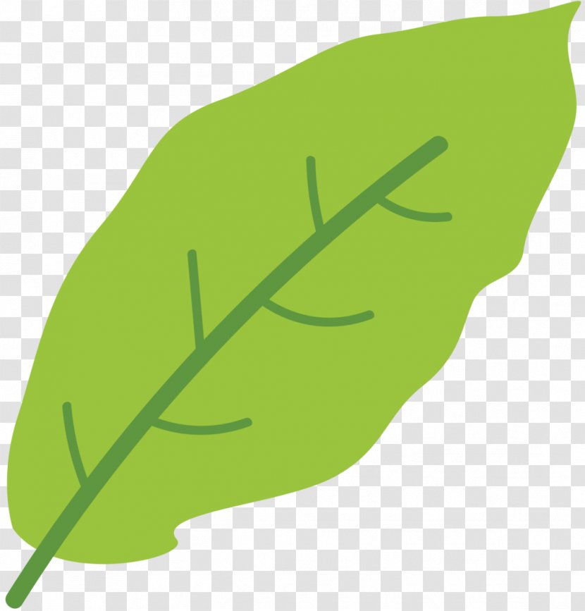 Leaf Product Design Plant Stem Font Line - Vegetable Transparent PNG