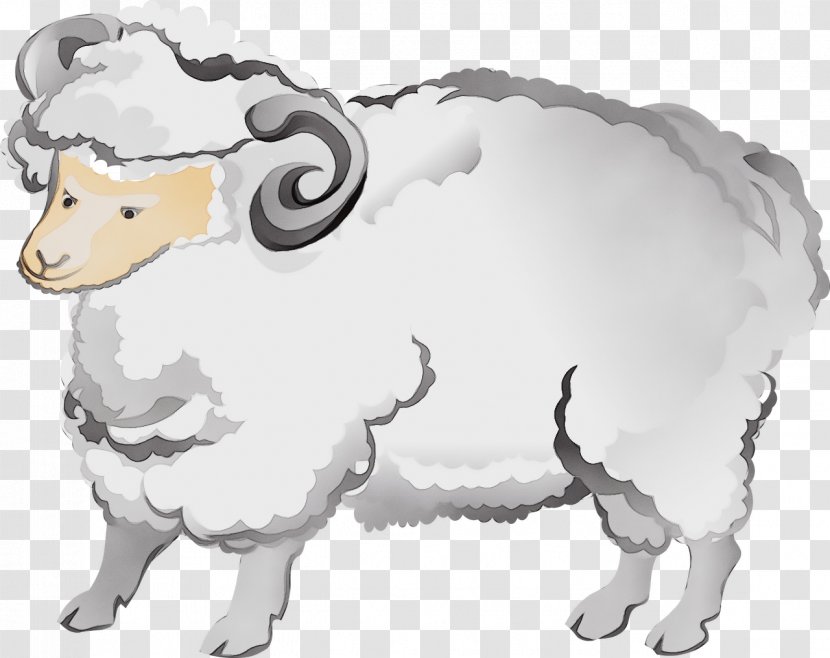 Sheep Cattle Illustration Mouflon Image - Goatantelope - Animal Figure Transparent PNG