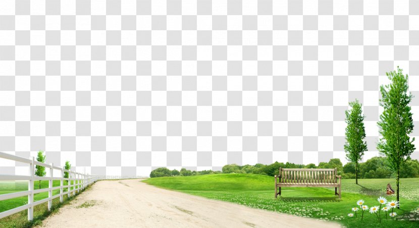 Computer File - Energy - Flowers And Grass Path To Pull Material Free Transparent PNG