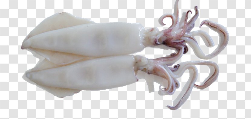 Squid As Food Octopus Sweet And Sour Meat - Pedas Transparent PNG