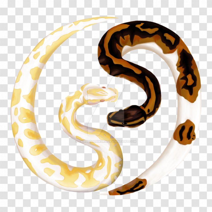 Snake Ball Python Reptile Pet Burmese Transparent PNG