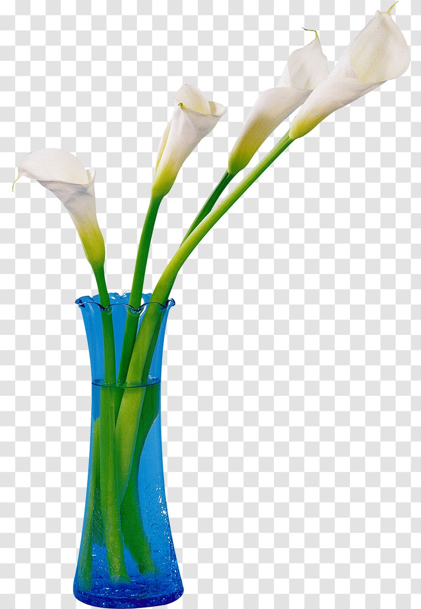 Floral Design Cut Flowers Lilium - Vase - Flower Transparent PNG