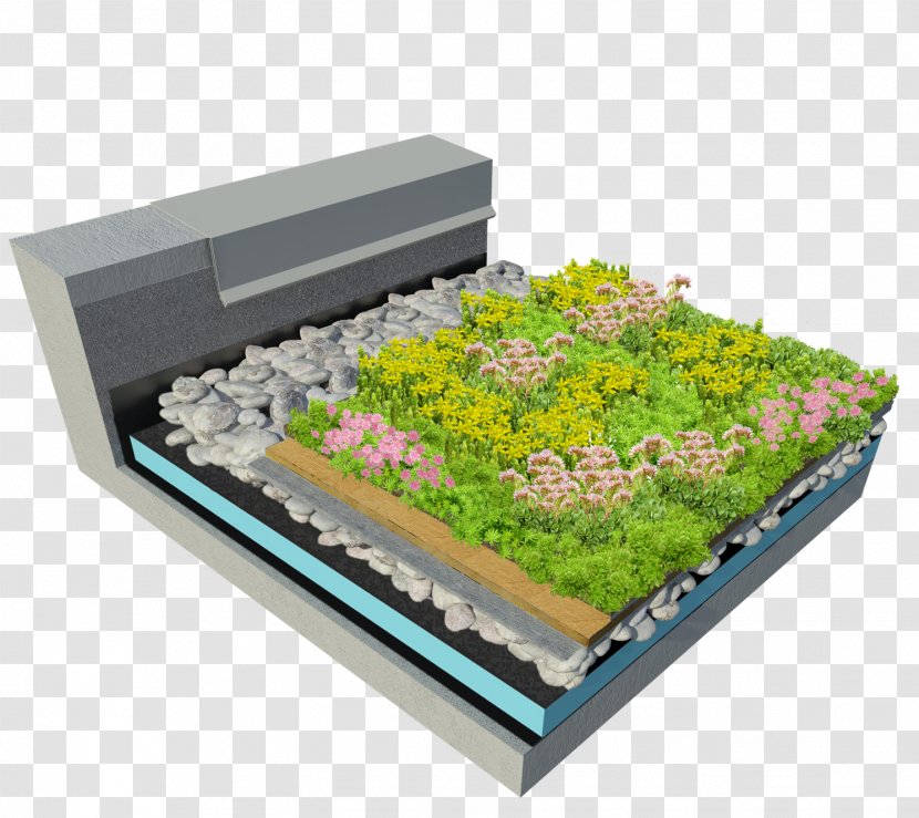 Green Roof Stonecrop American Hydrotech, Inc. Retrofitting - Management - Ideal Solution Transparent PNG