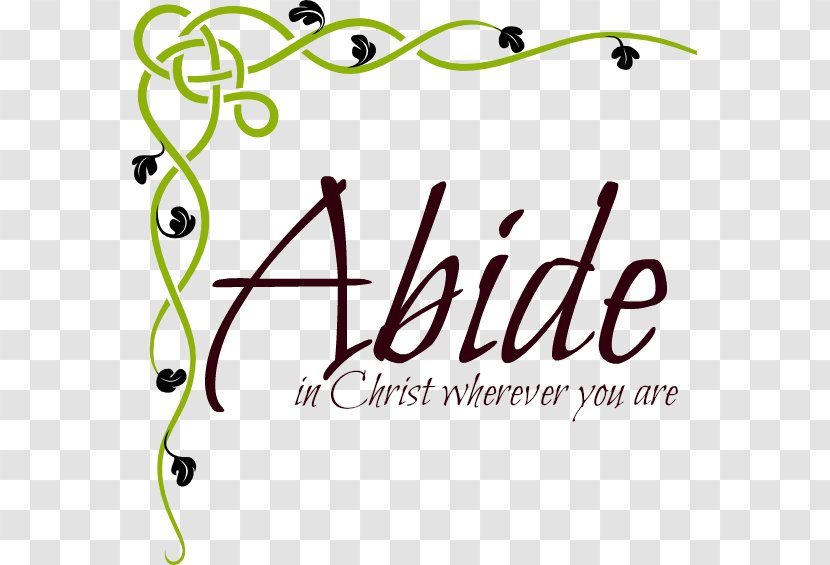 Vine Clip Art - Area - Abide Transparent PNG