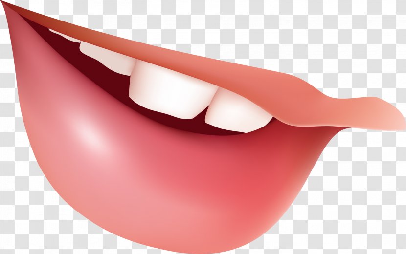 Mouth Lip Smile - Tooth Transparent PNG