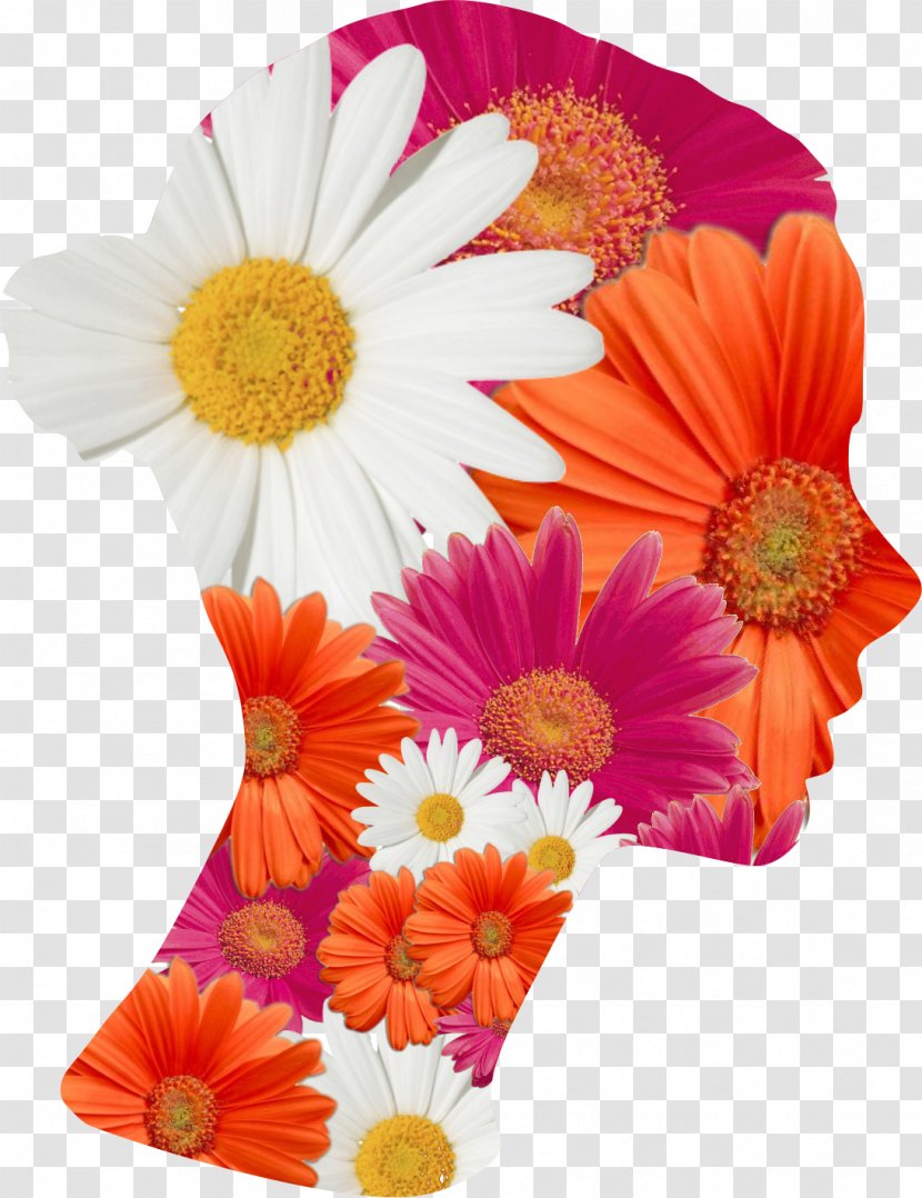 Transvaal Daisy Fogarasi Way Floral Design Cut Flowers Woman - Ata Illustration Transparent PNG