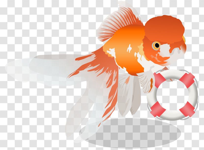 Goldfish Vertebrate Clip Art - Orange Transparent PNG