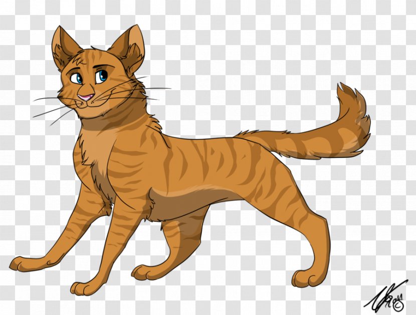 Cat Whiskers Warriors Brackenfur Cinderpelt - Paw Transparent PNG