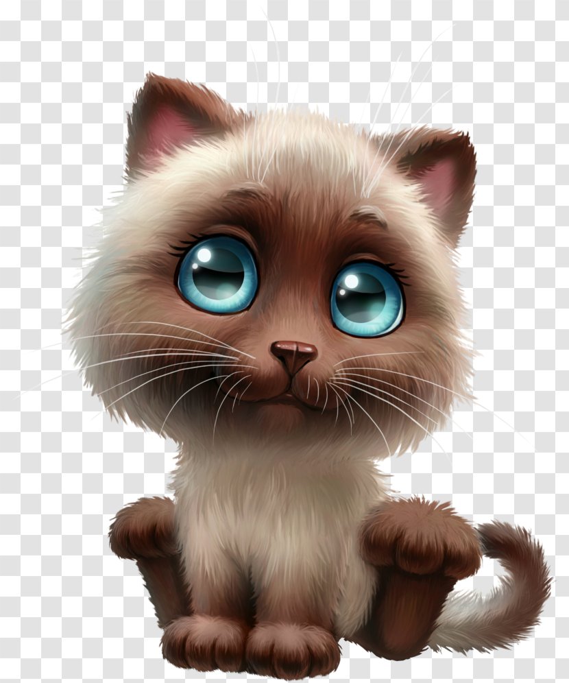 Siamese Cat Birman Kitten Sticker Decal - Cute Dog Transparent PNG