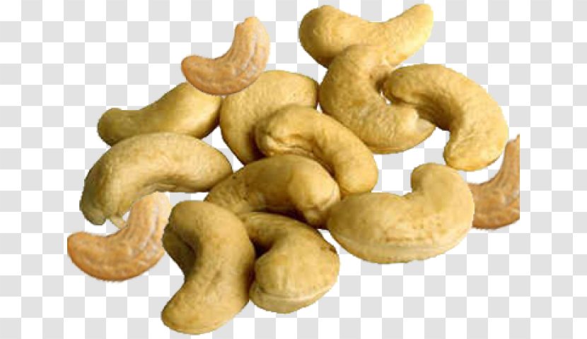 Cashew Panruti Nut Dried Fruit Pistachio - Walnut Transparent PNG