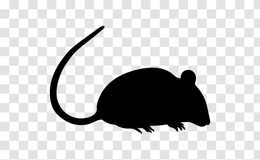 Computer Mouse Black Rat - Terrestrial Animal Transparent PNG