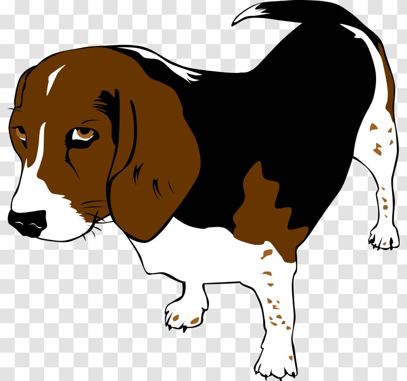 Beagle Puppy Mans Best Friend Clip Art - Dog Breed - Animal Cliparts Transparent PNG