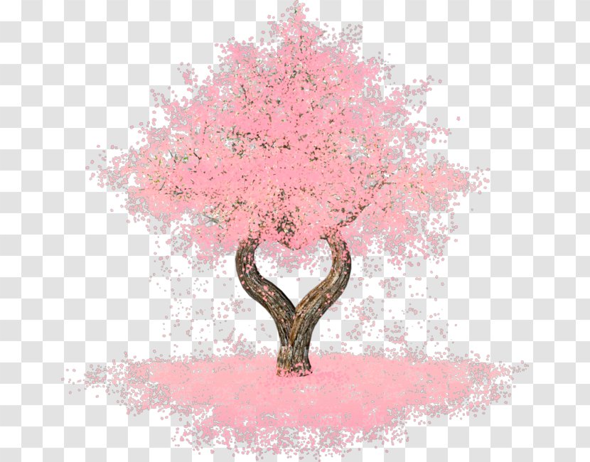 Cherry Blossom Tree Image Clip Art Transparent PNG
