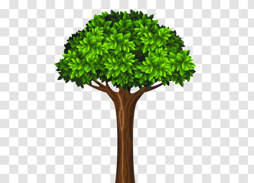 Tree Trunk Royalty-free - Plant Stem Transparent PNG
