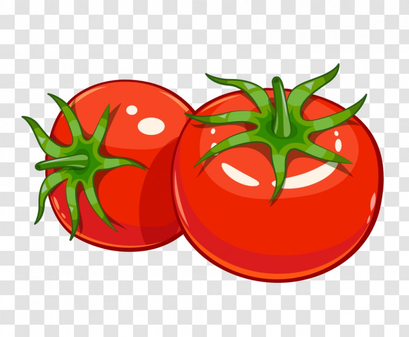 Vector Graphics Tomato Soup Juice Pizza - Cartoon Transparent PNG