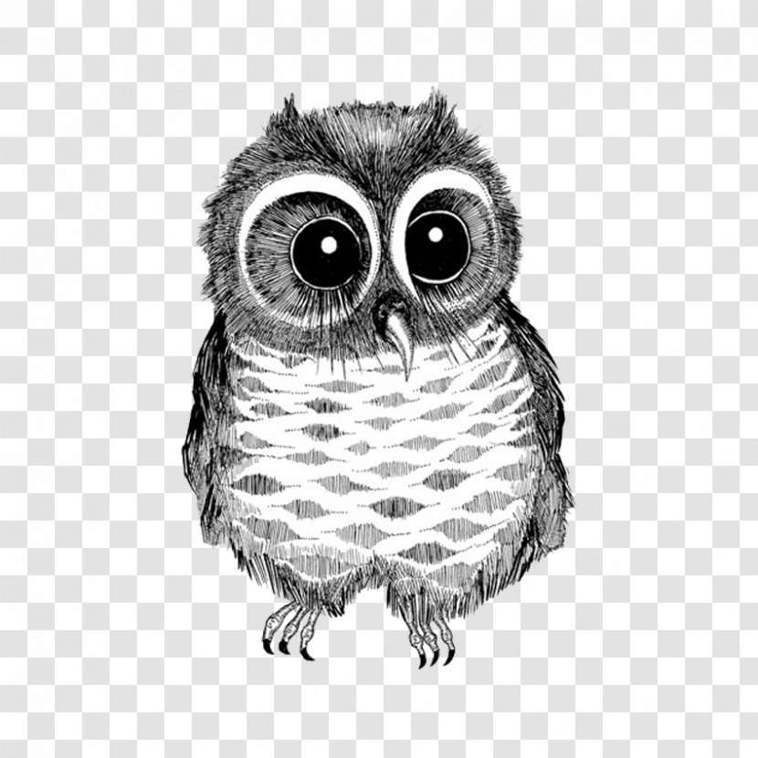 Owl Drawing Bird Black And White Photography - Ural - Line Big Eyes Transparent PNG