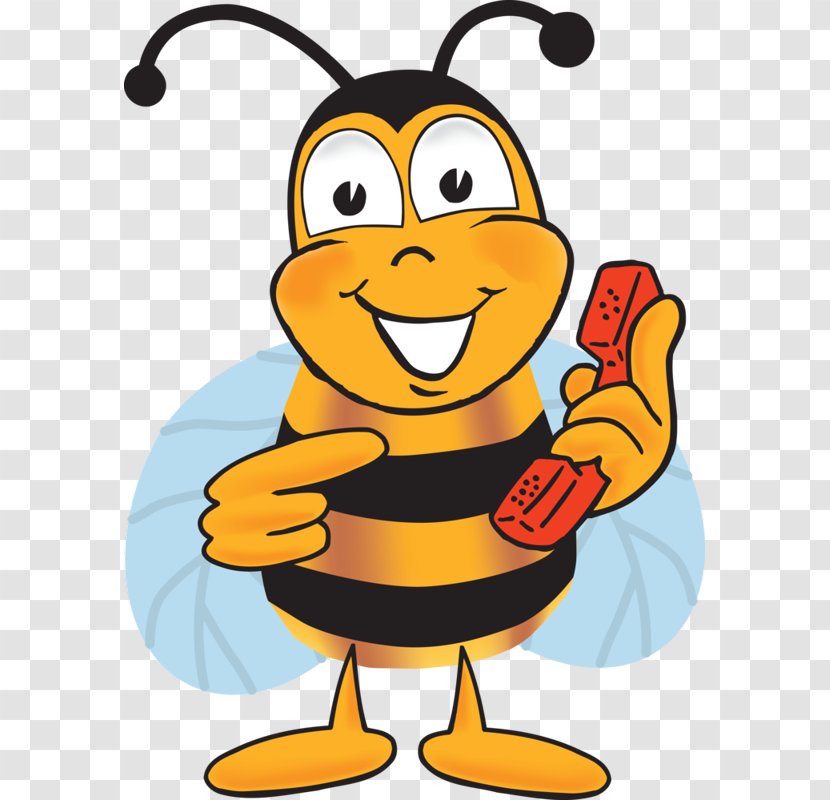 Western Honey Bee Clip Art Bumblebee Illustration - Cartoon - Ugh Business Transparent PNG