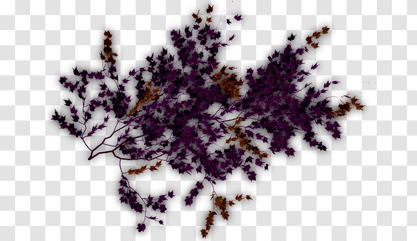 Clip Art Plants Vine Image - Purple Creeper Transparent PNG