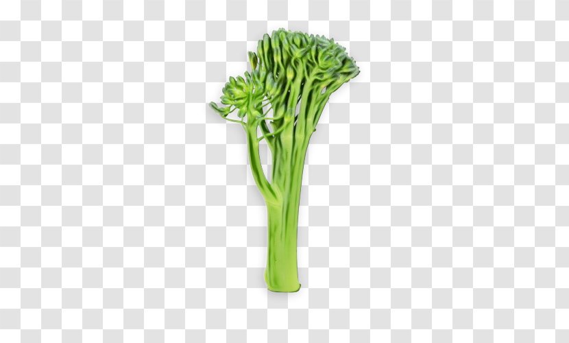 Vegetable Plant Cruciferous Vegetables Flower Leaf - Stem - Leek Celery Transparent PNG