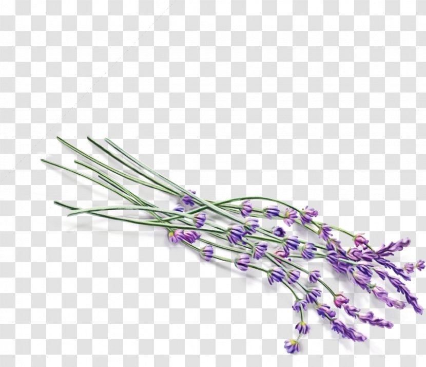 Oil Painting Flower - Lavender - Vegetable Allium Transparent PNG