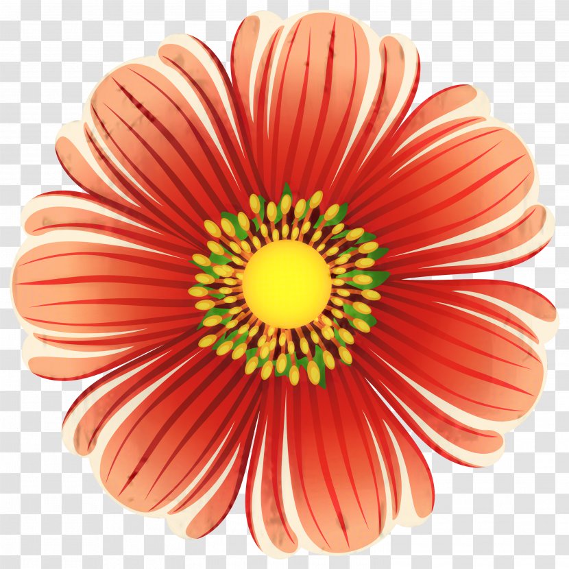 Flowers Background - Plant - Daisy Family Transparent PNG