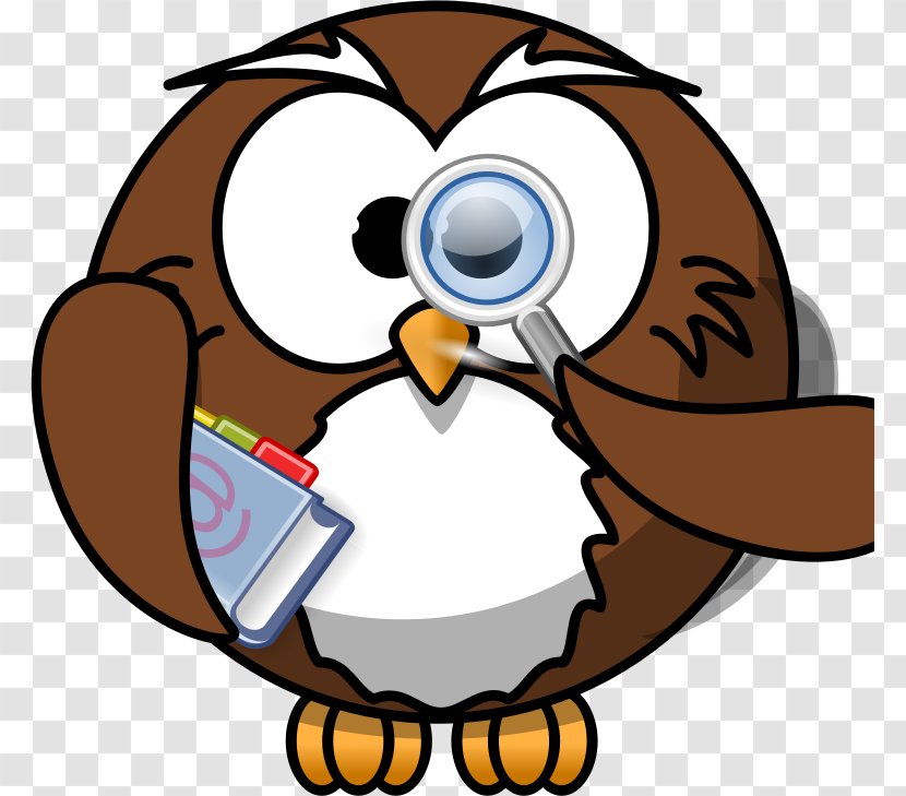 Owl Cartoon Clip Art - Beak Transparent PNG