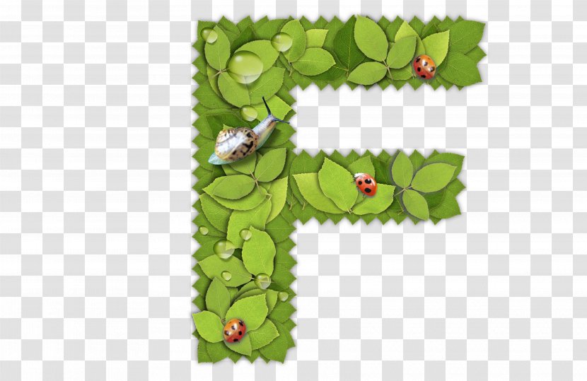 English Alphabet F Letter - Pattern - Green Leaf Transparent PNG