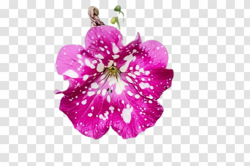 Flower Flowering Plant Petal Pink - Wet Ink - Wildflower Geranium Transparent PNG