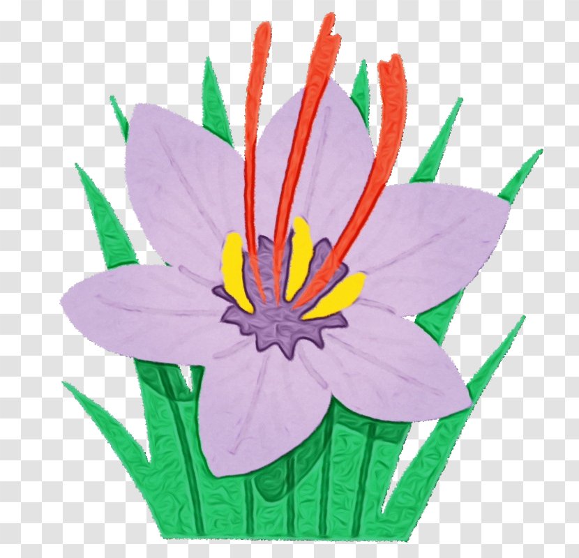 Flower Petal Plant Clip Art Flowering - Watercolor - Crocus Wildflower Transparent PNG