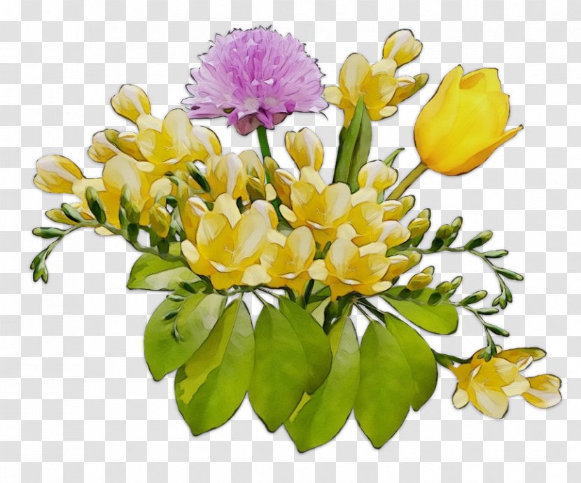 Image Clip Art Flower Photograph - Yellow - Cut Flowers Transparent PNG