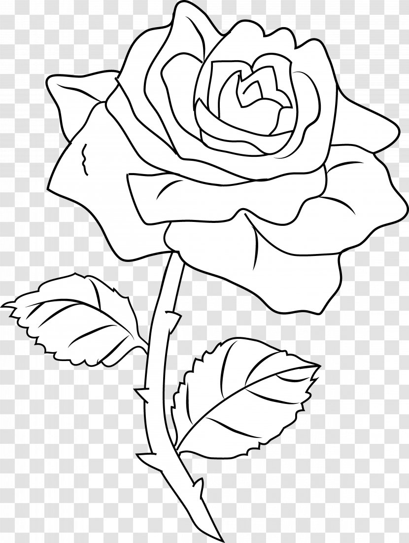 Line Art Drawing Rose Coloring Book Clip - Artwork - Black And White Roses Pictures Transparent PNG
