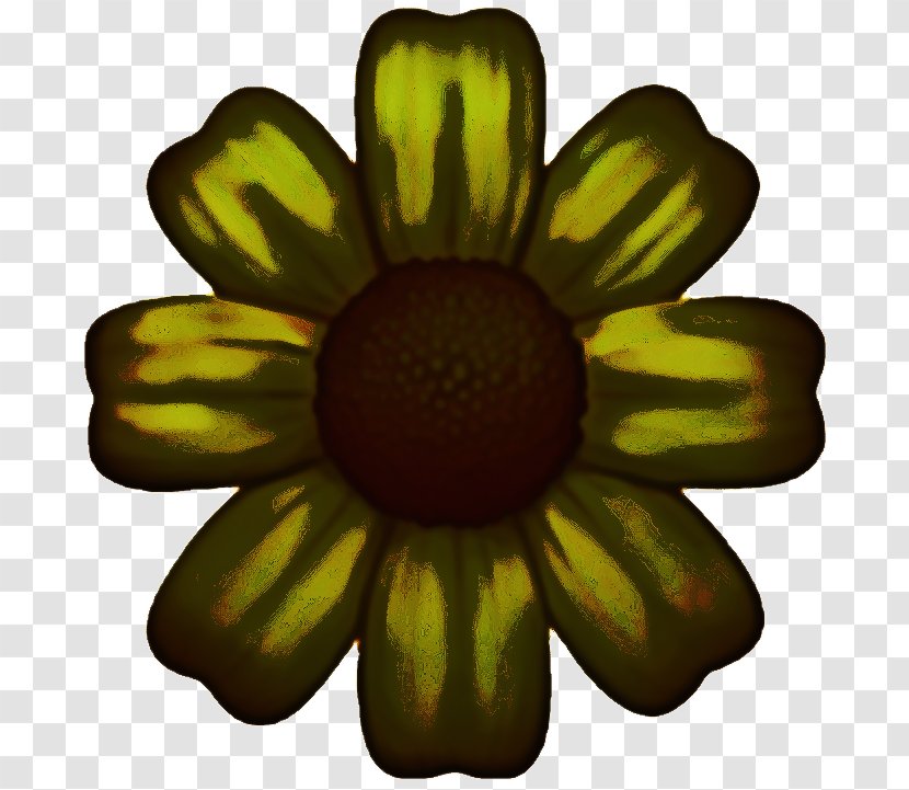 Music Background - Blackeyed Susan - Daisy Family Transparent PNG
