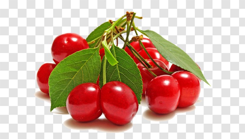 Fruit Cherry Organic Food Health - Cranberry Transparent PNG