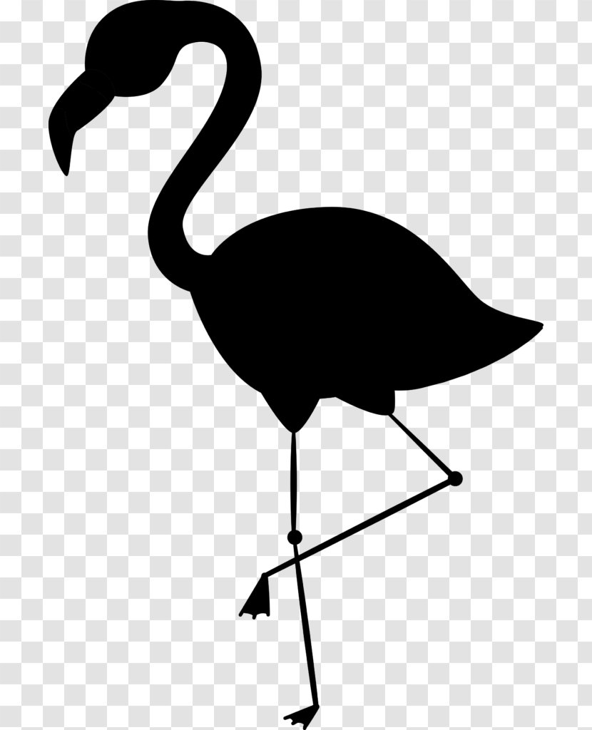 Clip Art Vector Graphics Image Flamingo Bird - Emu - Royaltyfree Transparent PNG