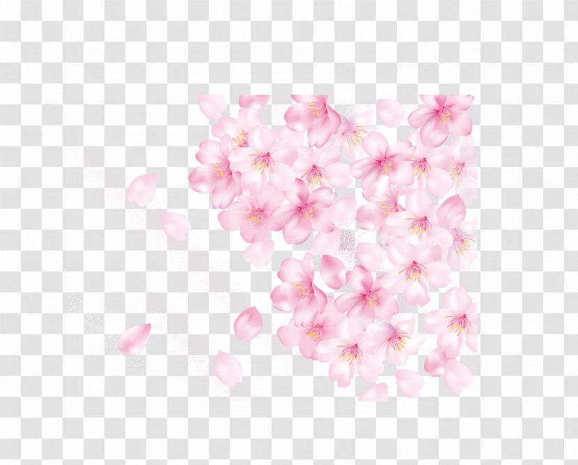 Petal Cherry Blossom Pink - Petals Transparent PNG