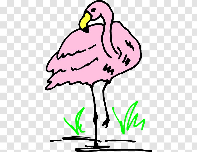 Flamingo Cartoon Clip Art - Organism Transparent PNG