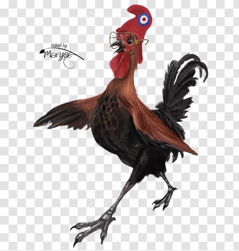 Chicken Rooster Kifaranga Clip Art - Beak Transparent PNG
