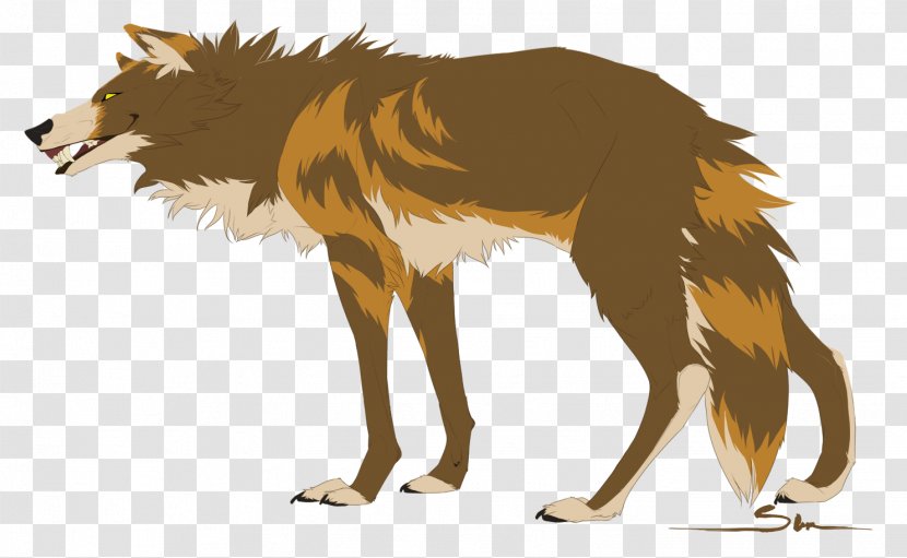 Fox Gray Wolf Red - Fauna Transparent PNG