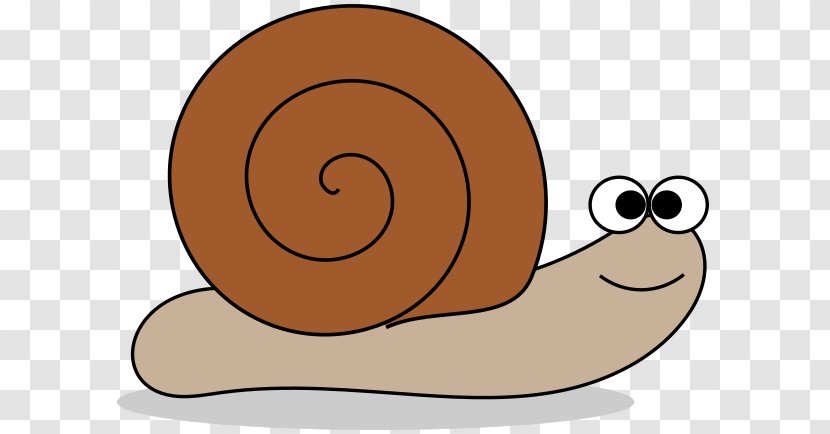Snail Gastropod Shell Clip Art - Snails And Slugs - Animal Cartoons Transparent PNG