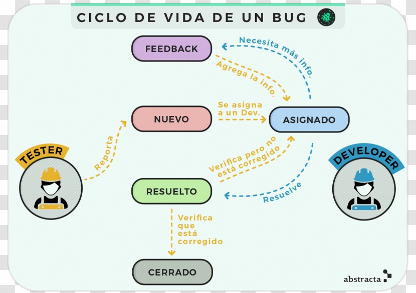 Software Bug Introduction To Testing Biological Life Cycle Computer - Test Method - Ciclo Lunar Transparent PNG