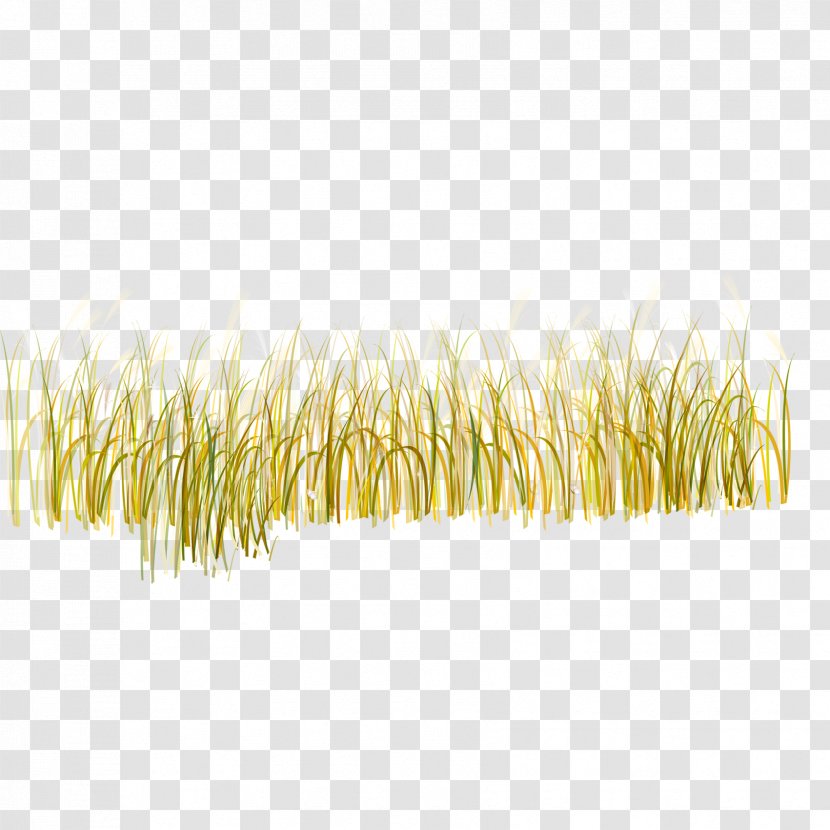 Yellow Pattern - Rectangle - Grass Transparent PNG