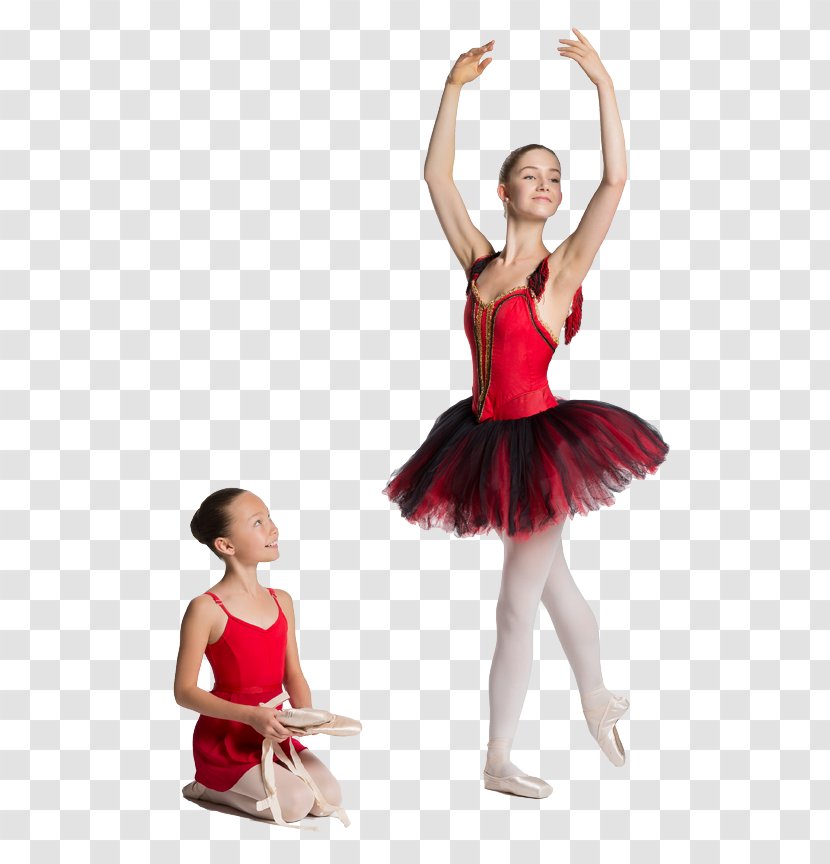 Alberta Ballet Tutu Dance Studio - Tree Transparent PNG