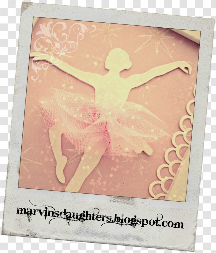 Picture Frames Pink M Transparent PNG